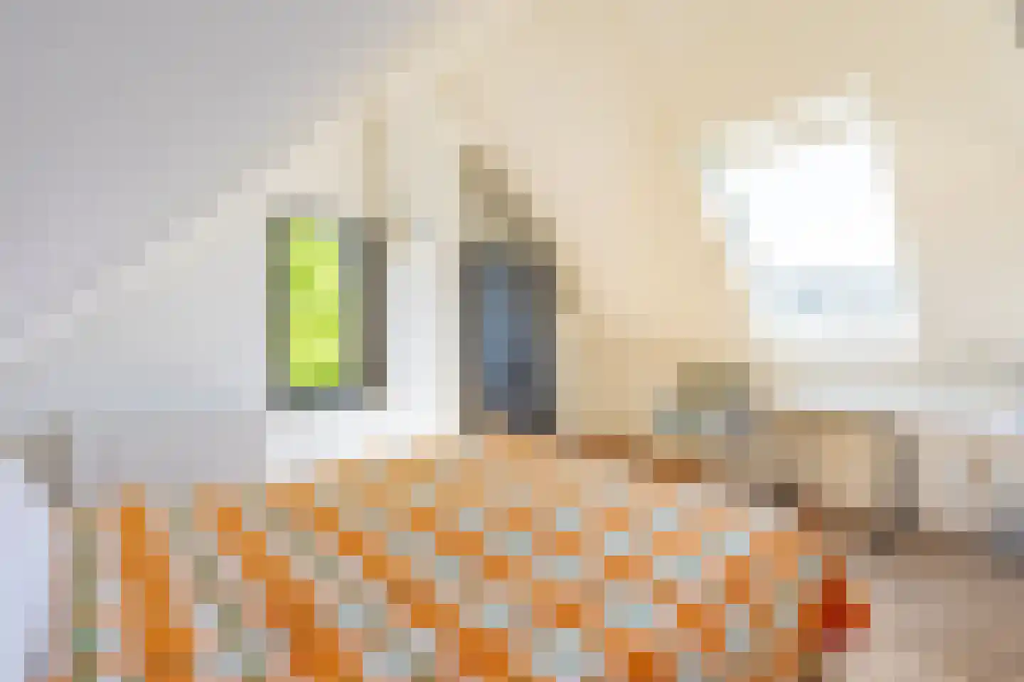 Holterweg 85 101 Nieuw Heeten thumbnail 22