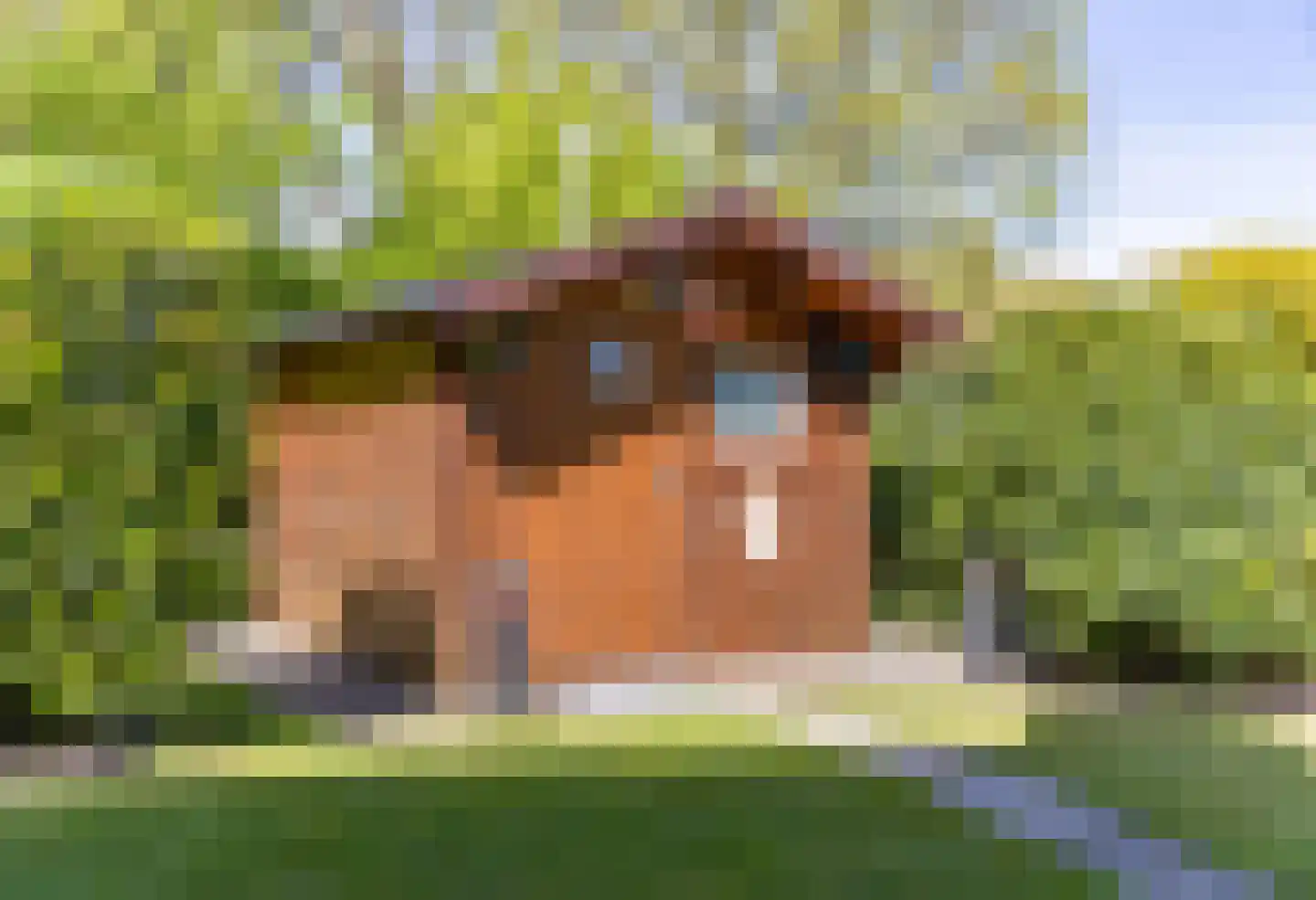 Holterweg 85 101 Nieuw Heeten thumbnail 32
