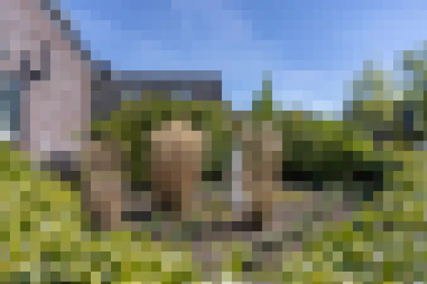 Holterweg 85 101 Nieuw Heeten thumbnail 33