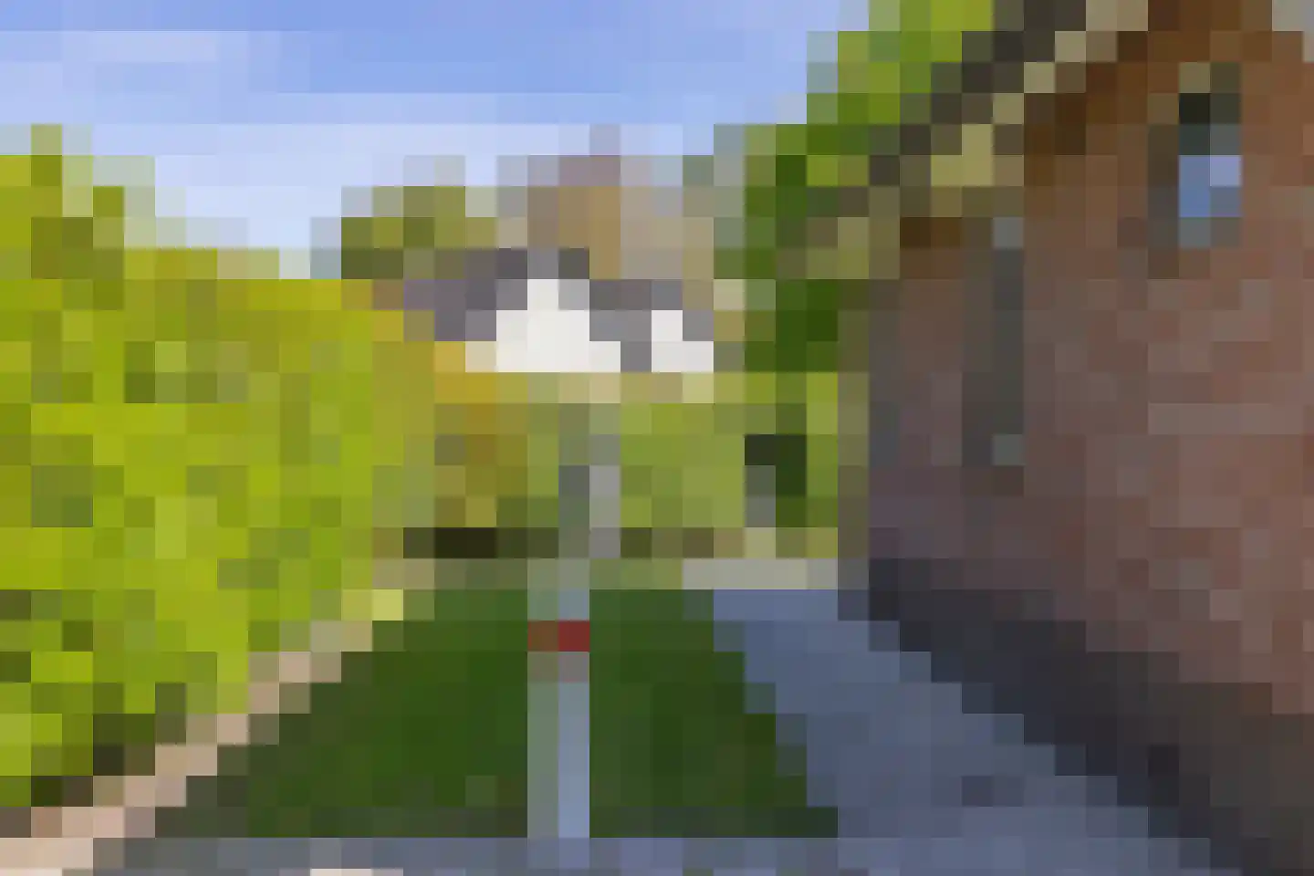 Holterweg 85 101 Nieuw Heeten thumbnail 34