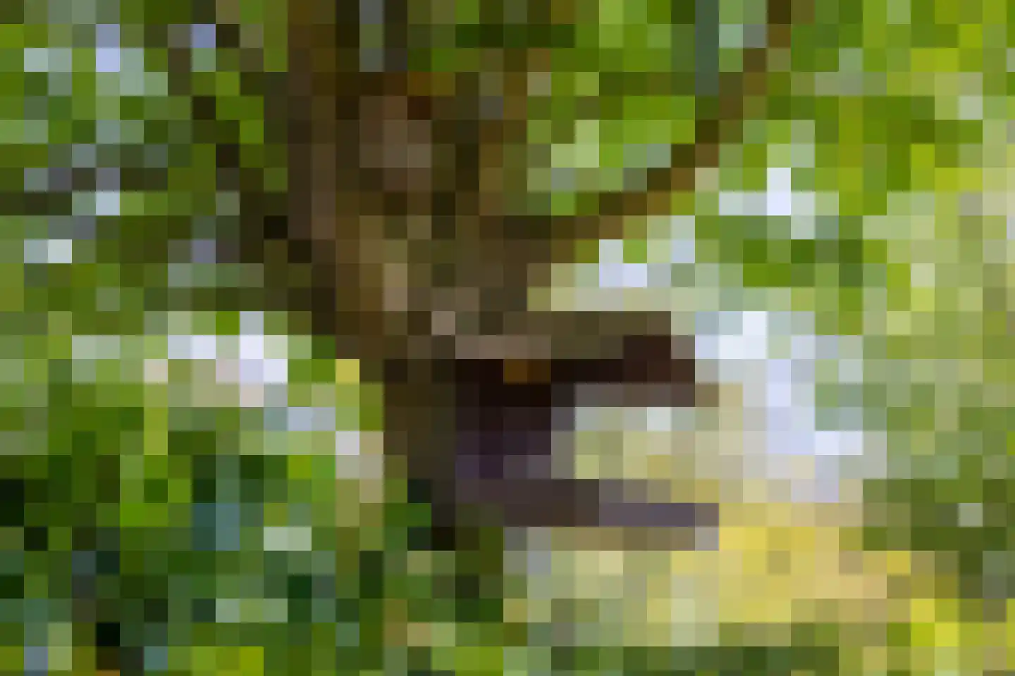 Holterweg 85 101 Nieuw Heeten thumbnail 35