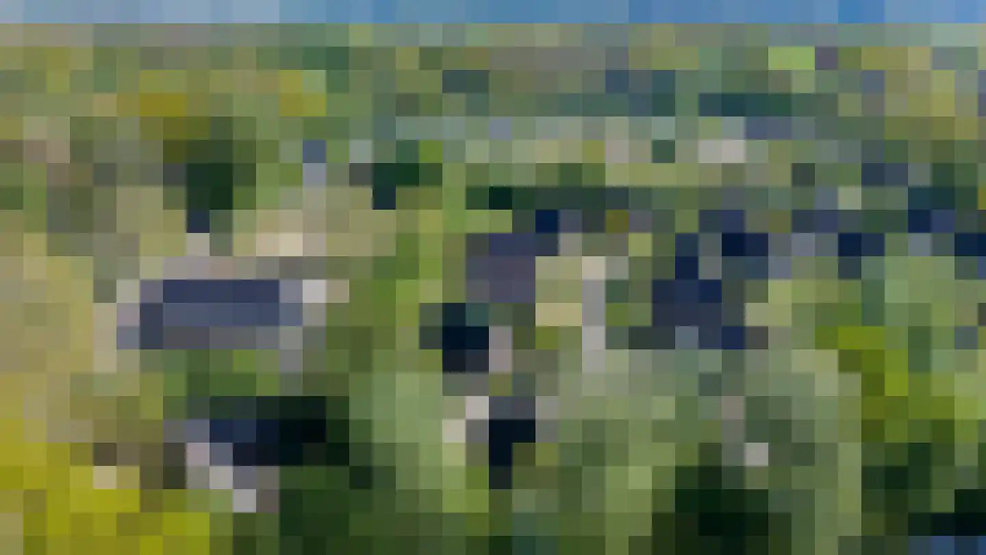 Holterweg 85 101 Nieuw Heeten thumbnail 43