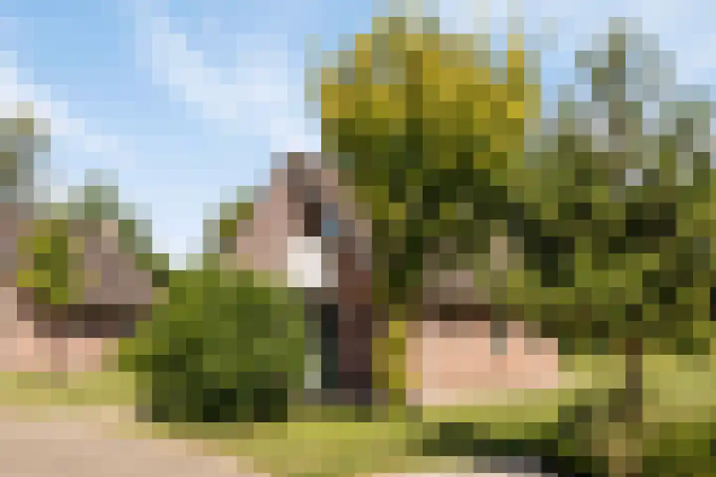 Holterweg 85 104 Nieuw Heeten thumbnail 28