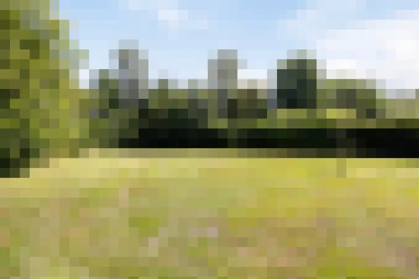 Holterweg 85 104 Nieuw Heeten thumbnail 36