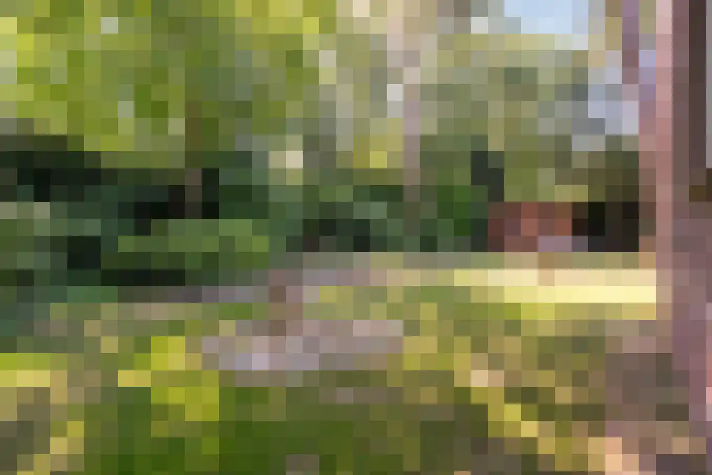 Holterweg 85 Nijverdal thumbnail 42