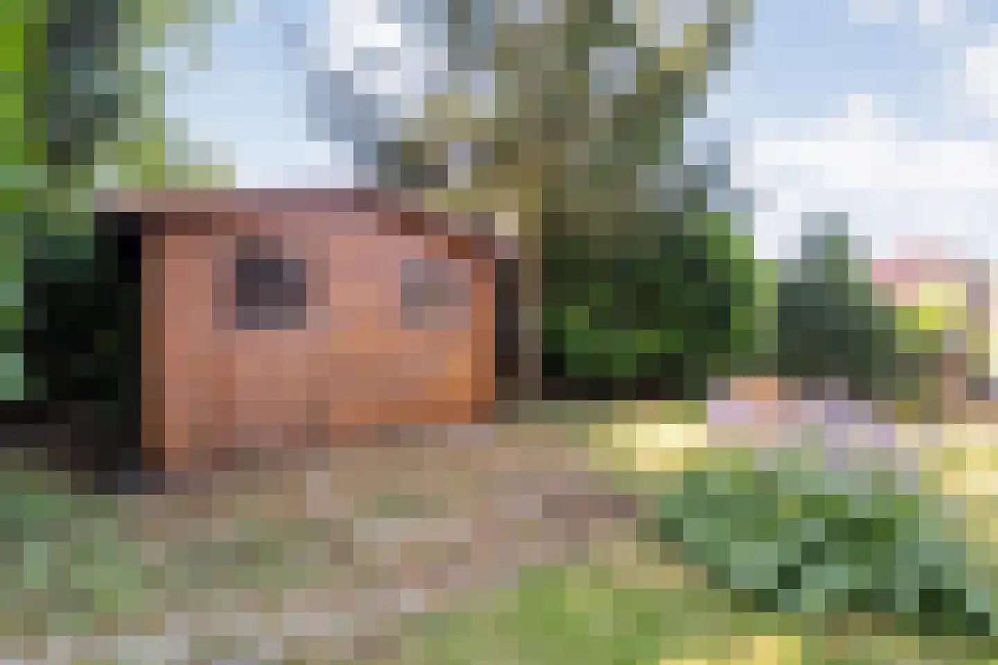 Holterweg 85 Nijverdal thumbnail 43