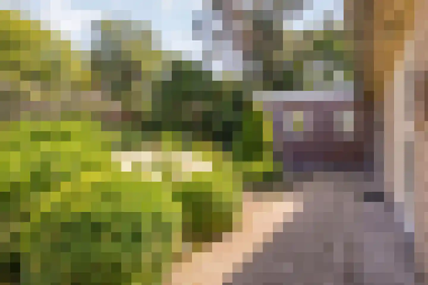 Holterweg 85 Nijverdal thumbnail 50