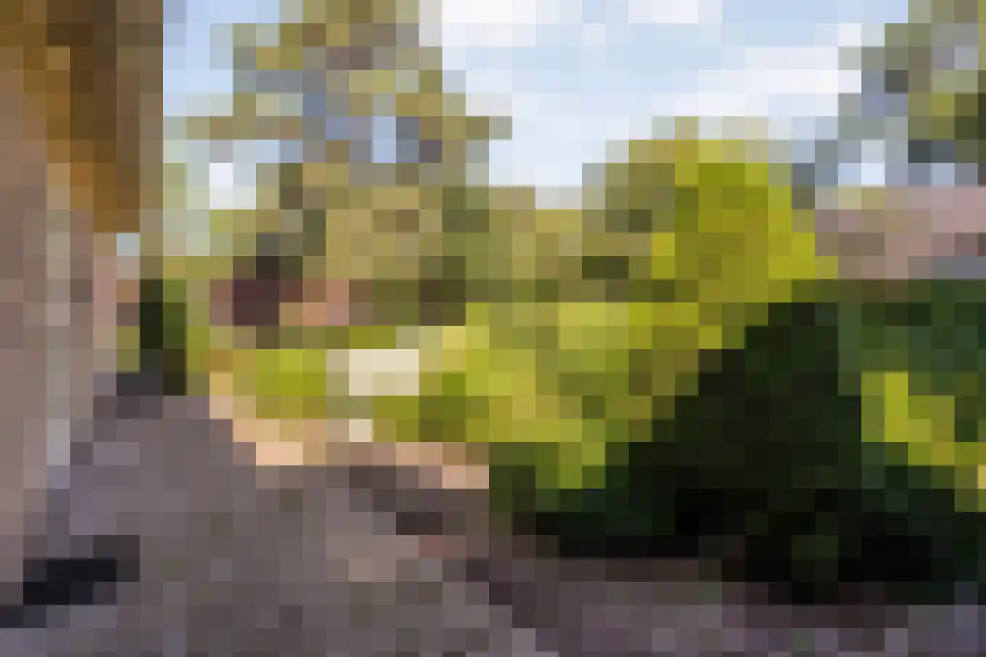 Holterweg 85 Nijverdal thumbnail 51