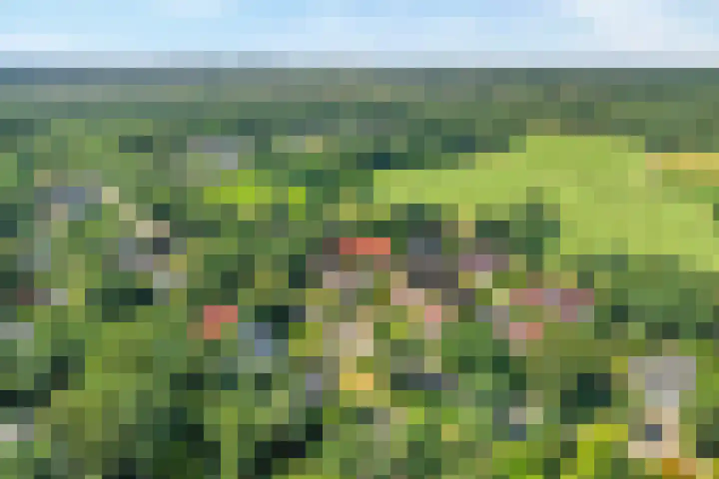Holterweg 85 Nijverdal thumbnail 69