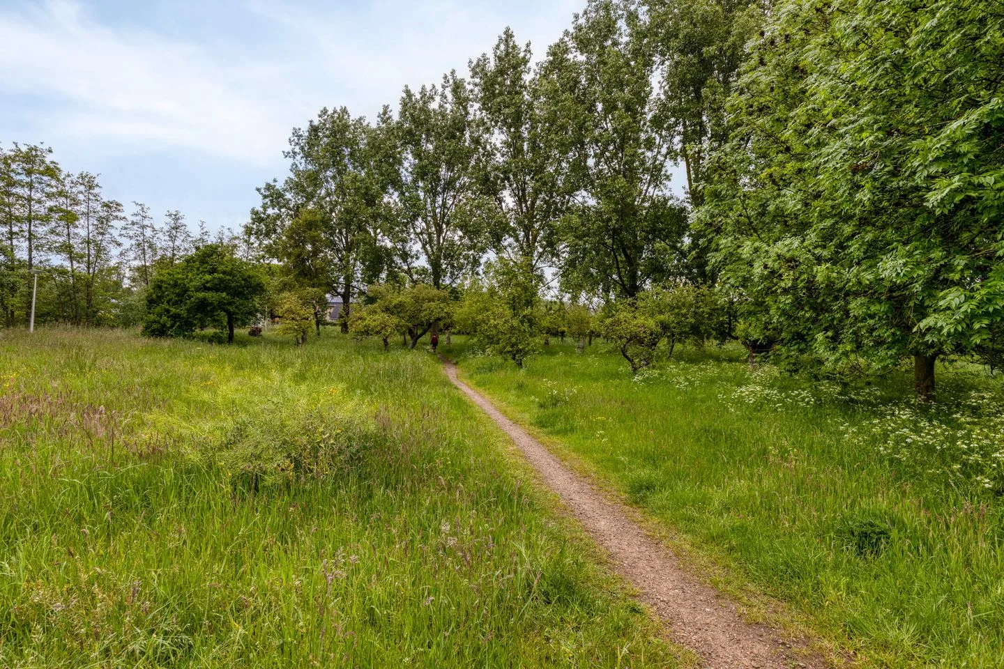 Holtgesbroek 1004 Nijmegen thumbnail 42