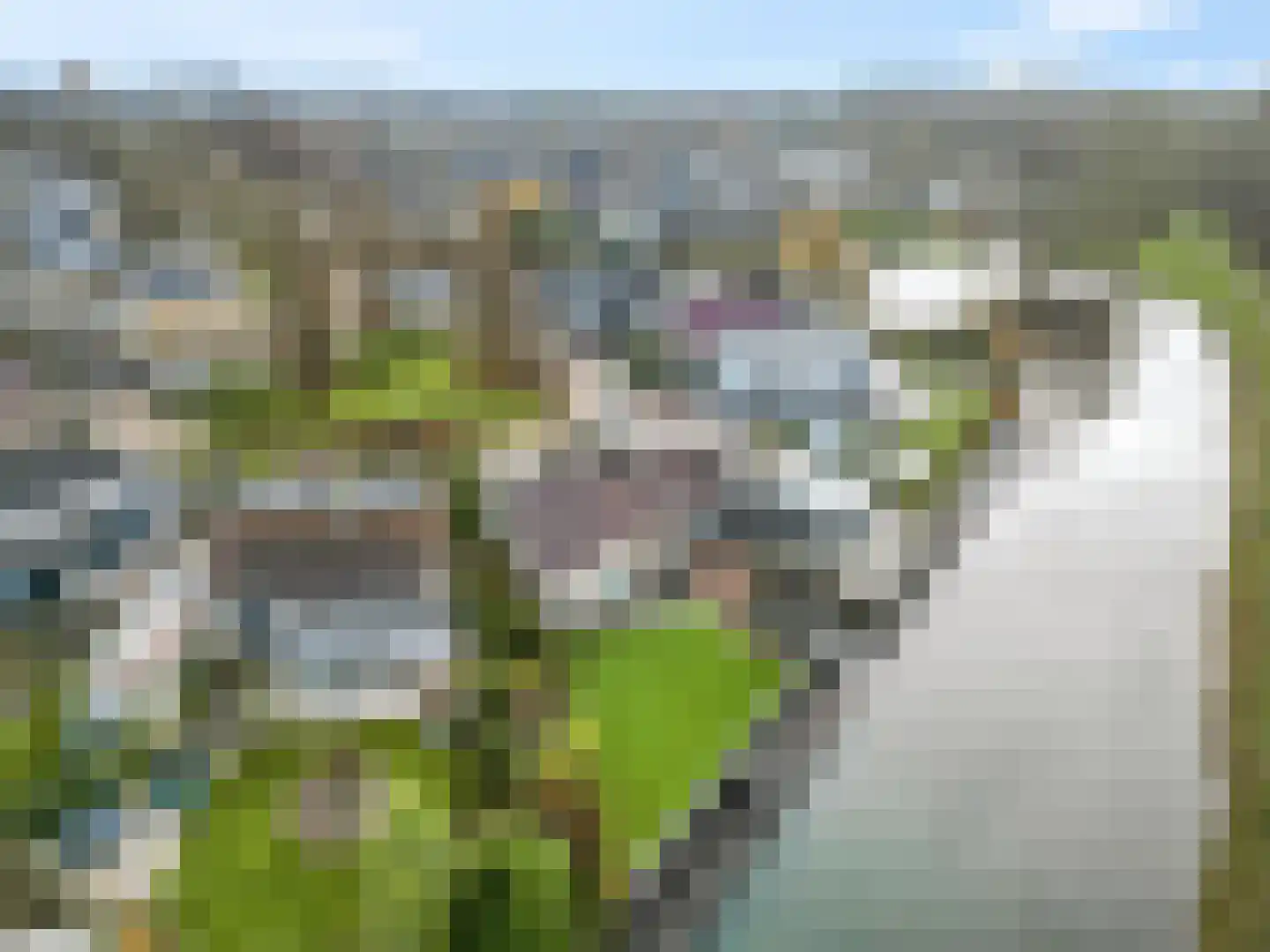 Holtgesbroek 1009 Nijmegen thumbnail 39