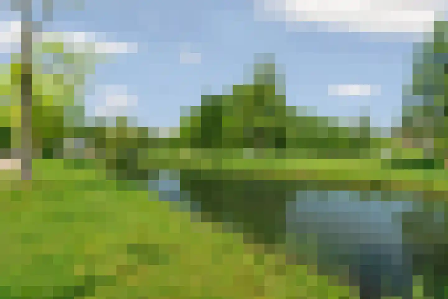 Holtgesbroek 1103 Nijmegen thumbnail 44