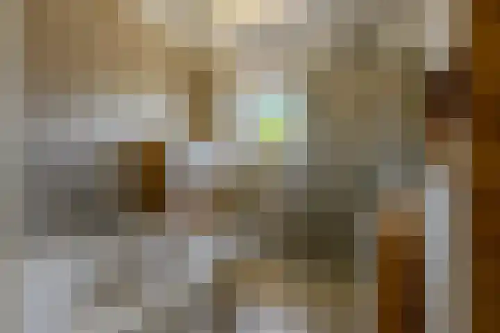 Holtgesbroek 1225 Nijmegen thumbnail 23