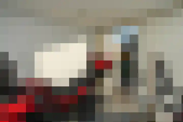Holtgesbroek 1615 Nijmegen thumbnail 18