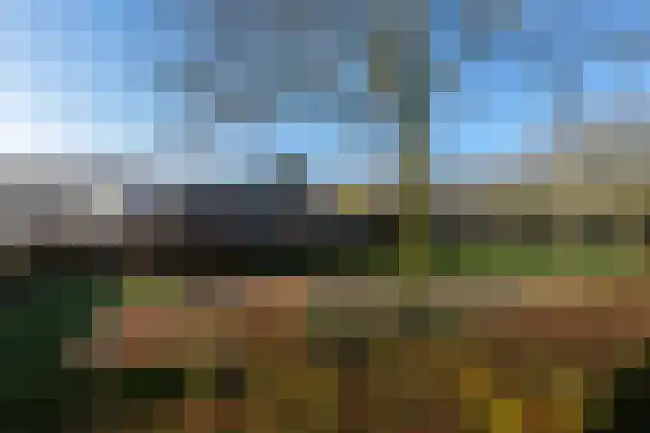 Holtgesbroek 1615 Nijmegen thumbnail 31