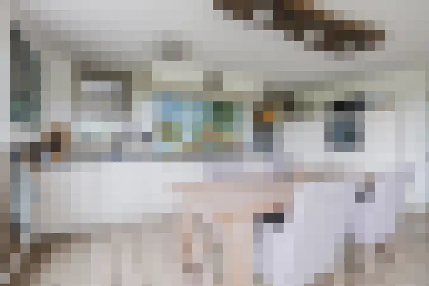Holthe 11 Beilen thumbnail 15