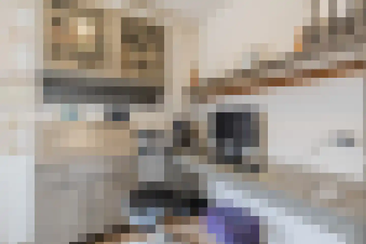 Holthe 11 Beilen thumbnail 20