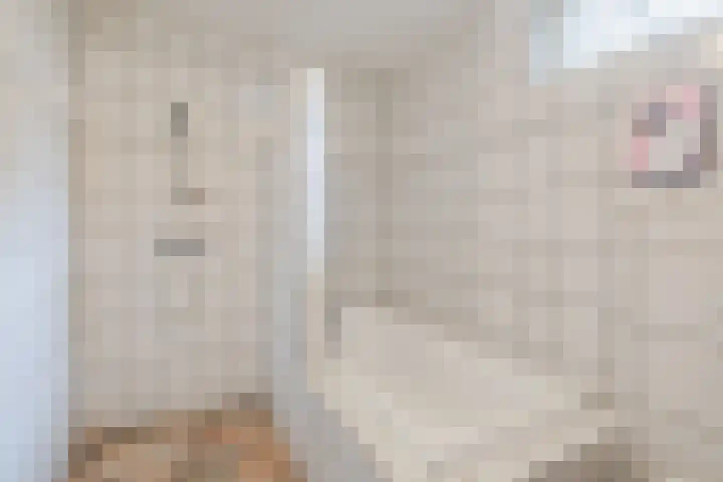 Holthe 11 Beilen thumbnail 26