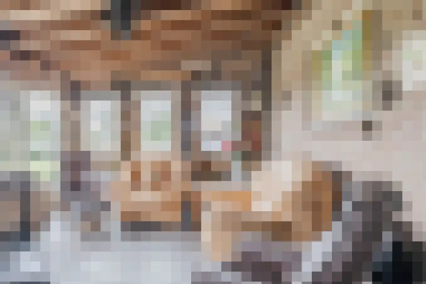 Holthe 11 Beilen thumbnail 48