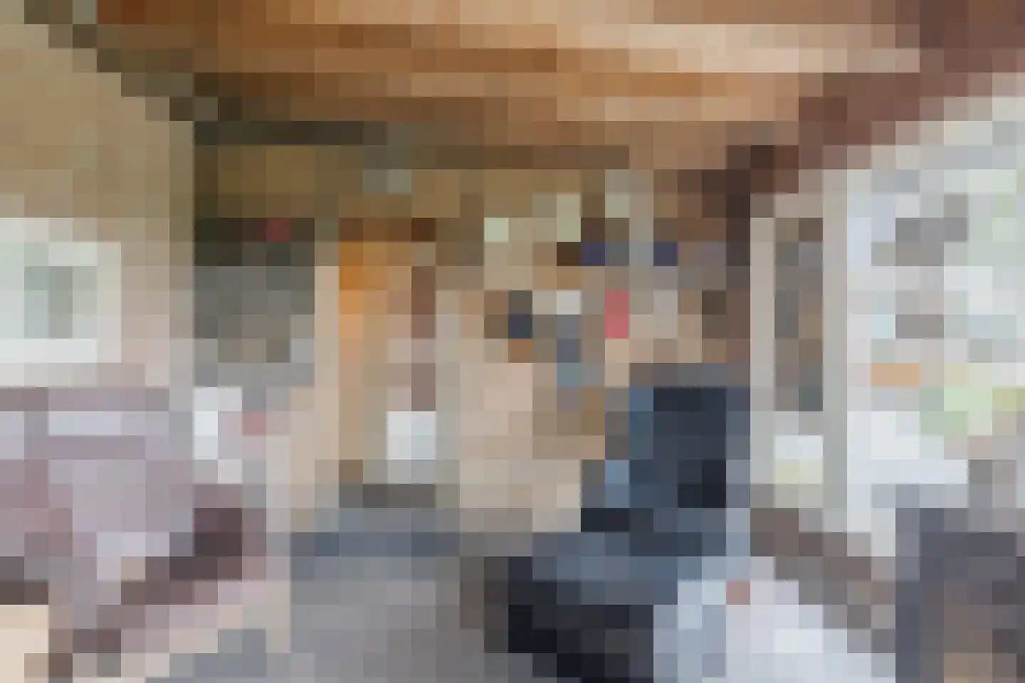 Holthe 11 Beilen thumbnail 49
