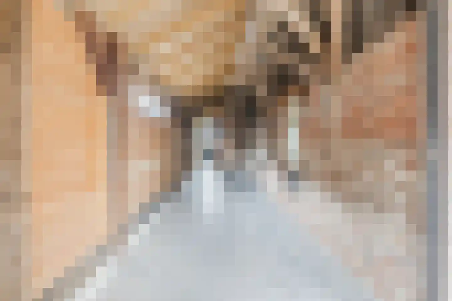 Holthe 11 Beilen thumbnail 51