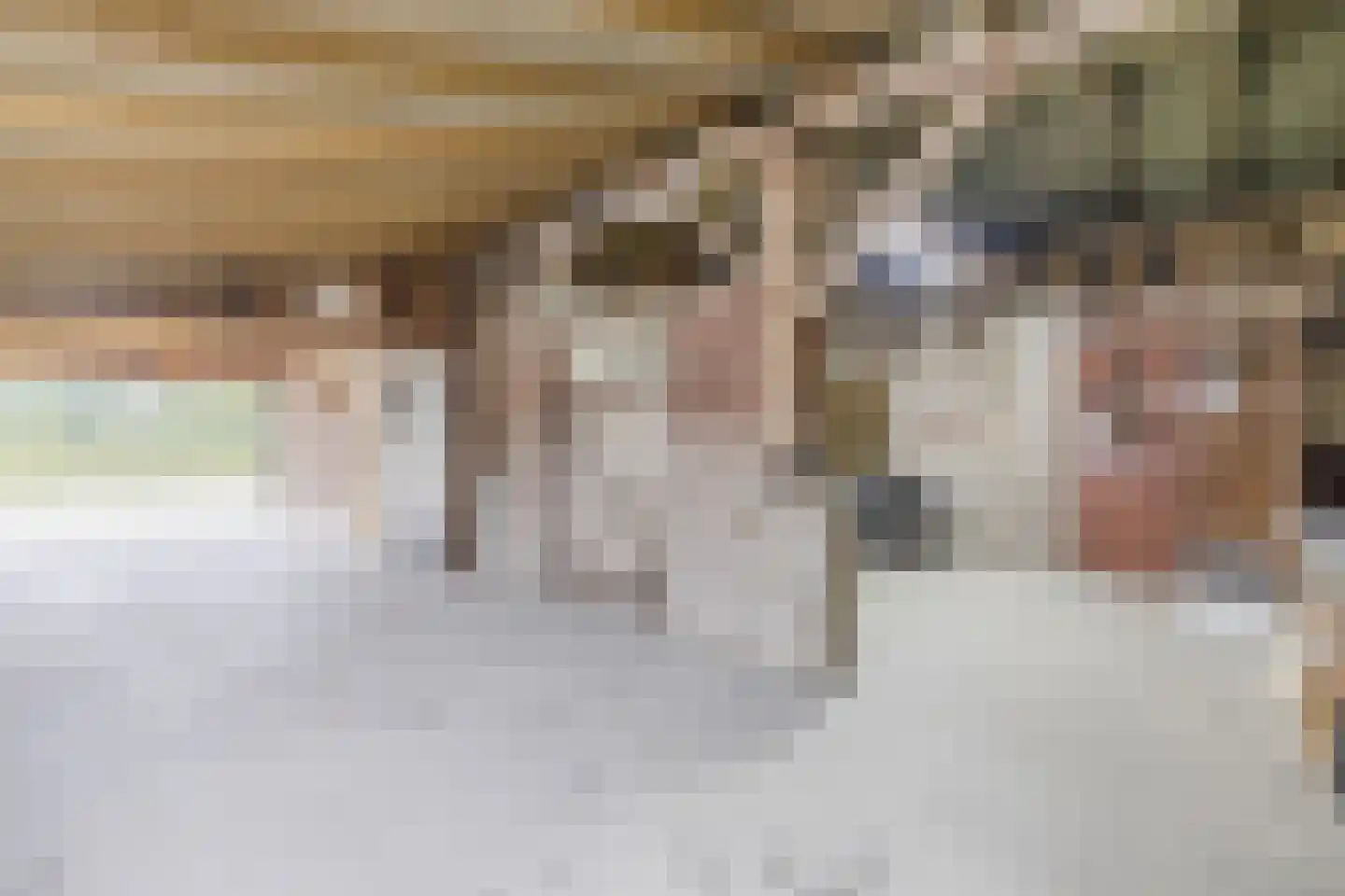 Holthe 11 Beilen thumbnail 52