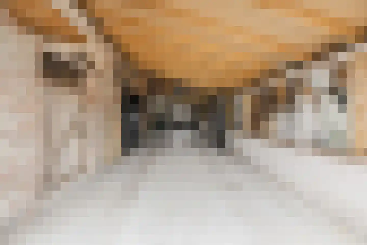 Holthe 11 Beilen thumbnail 53