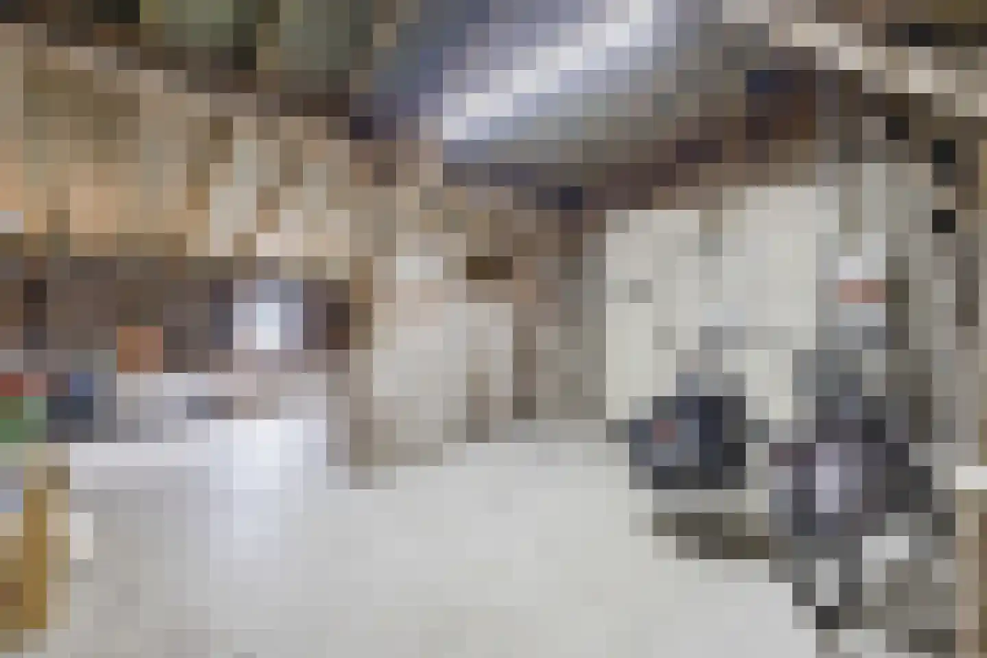 Holthe 11 Beilen thumbnail 54