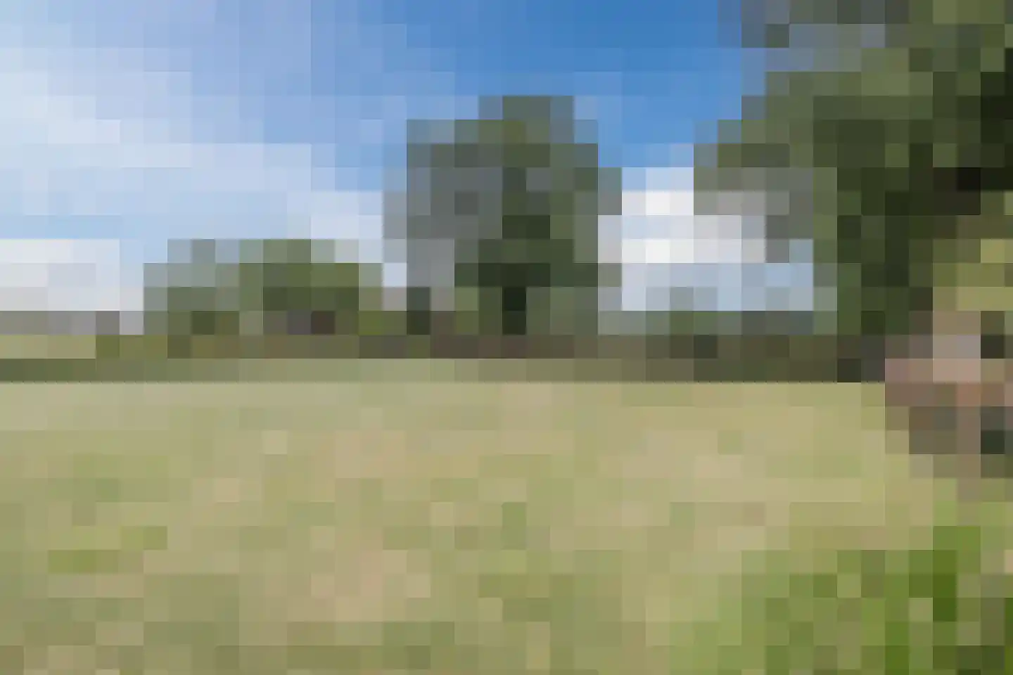 Holthe 11 Beilen thumbnail 58