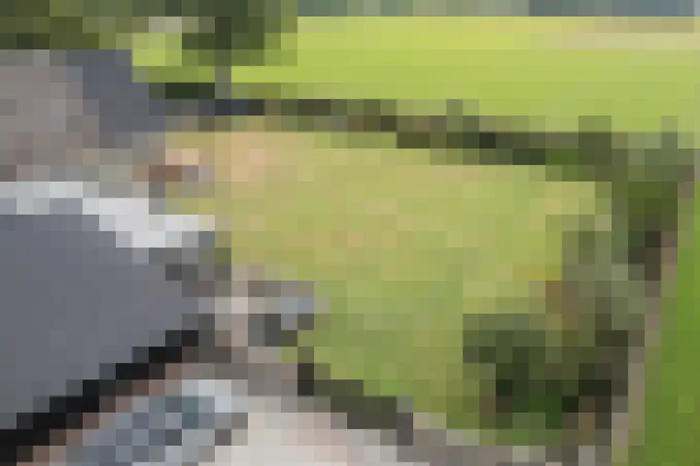 Holthe 11 Beilen thumbnail 69