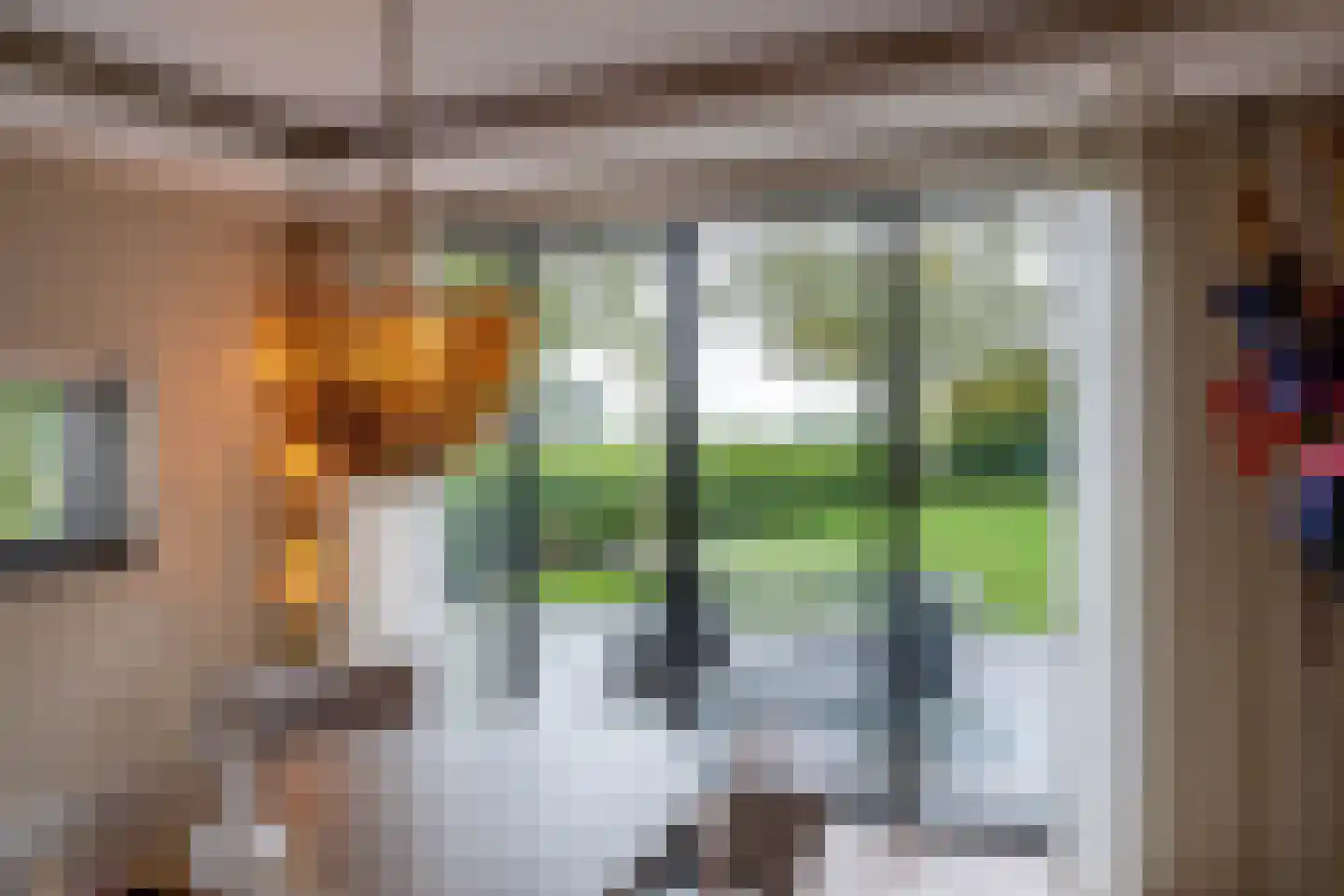 Holthe 49 Beilen thumbnail 12