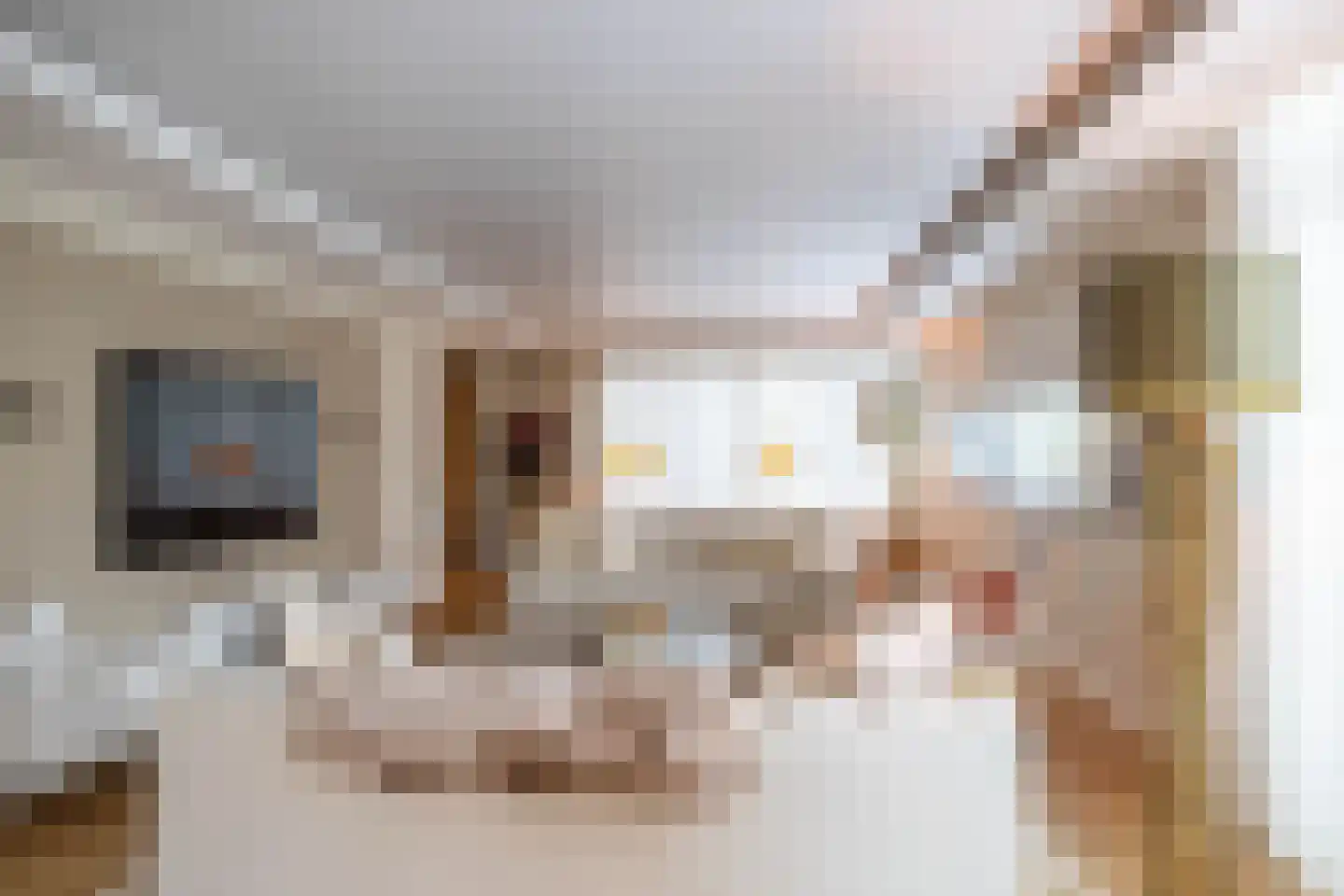Holthe 49 Beilen thumbnail 14