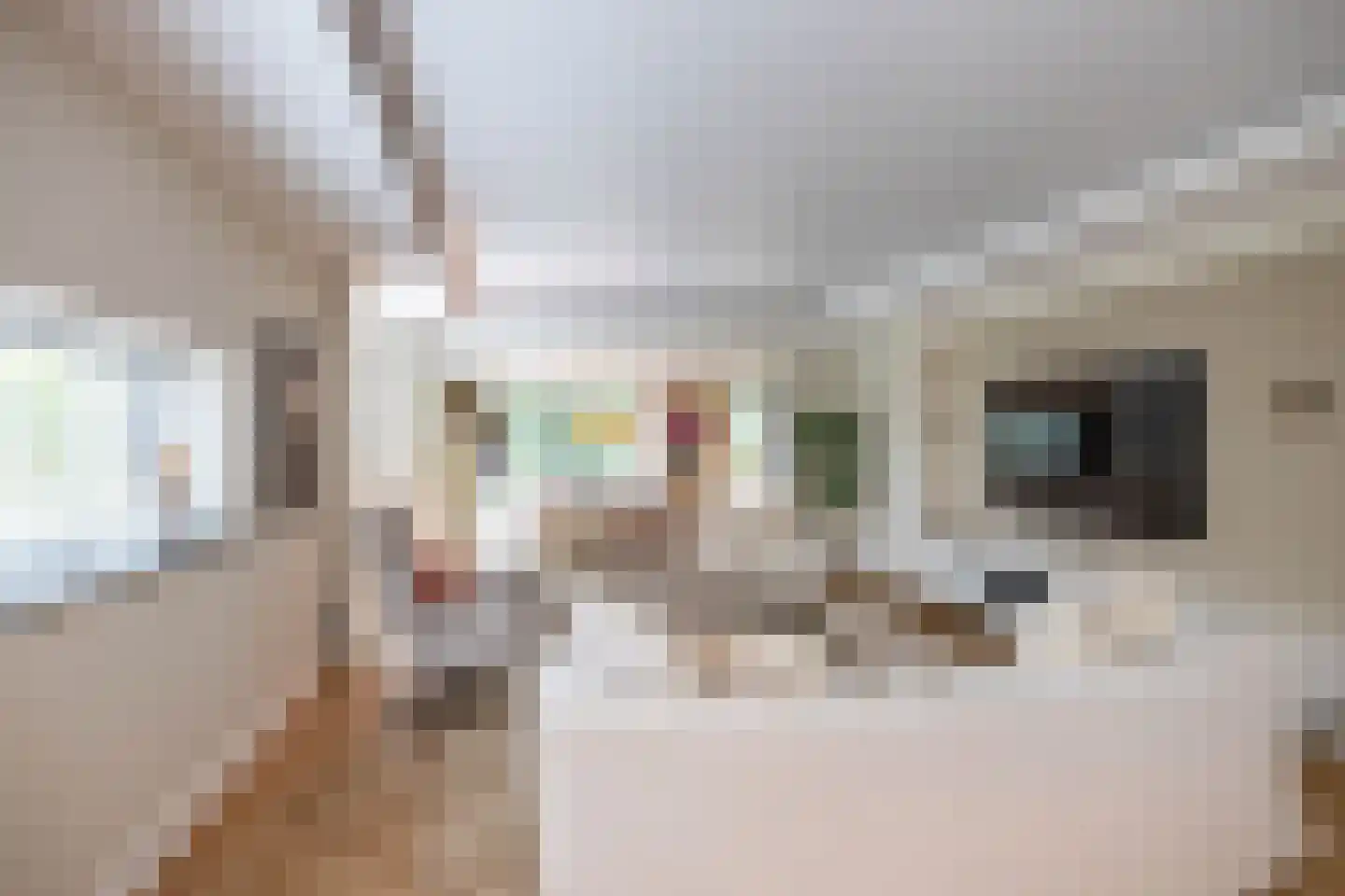Holthe 49 Beilen thumbnail 15