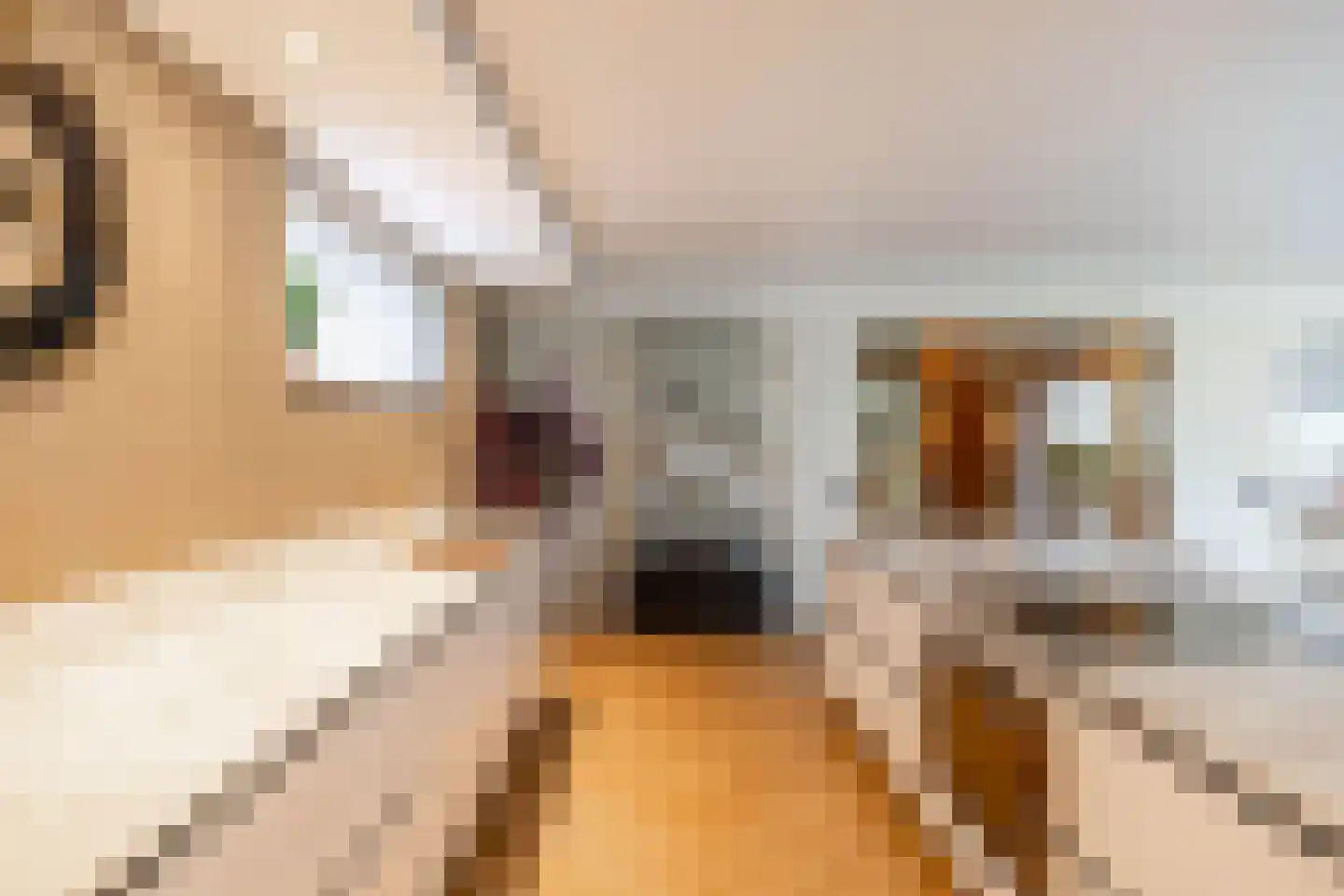 Holthe 49 Beilen thumbnail 21