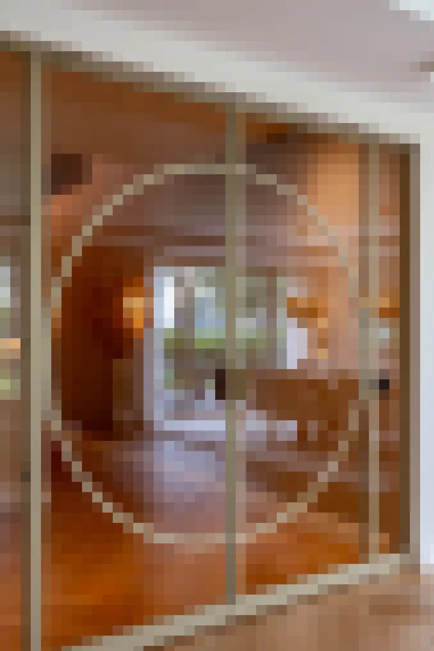 Holthe 49 Beilen thumbnail 26