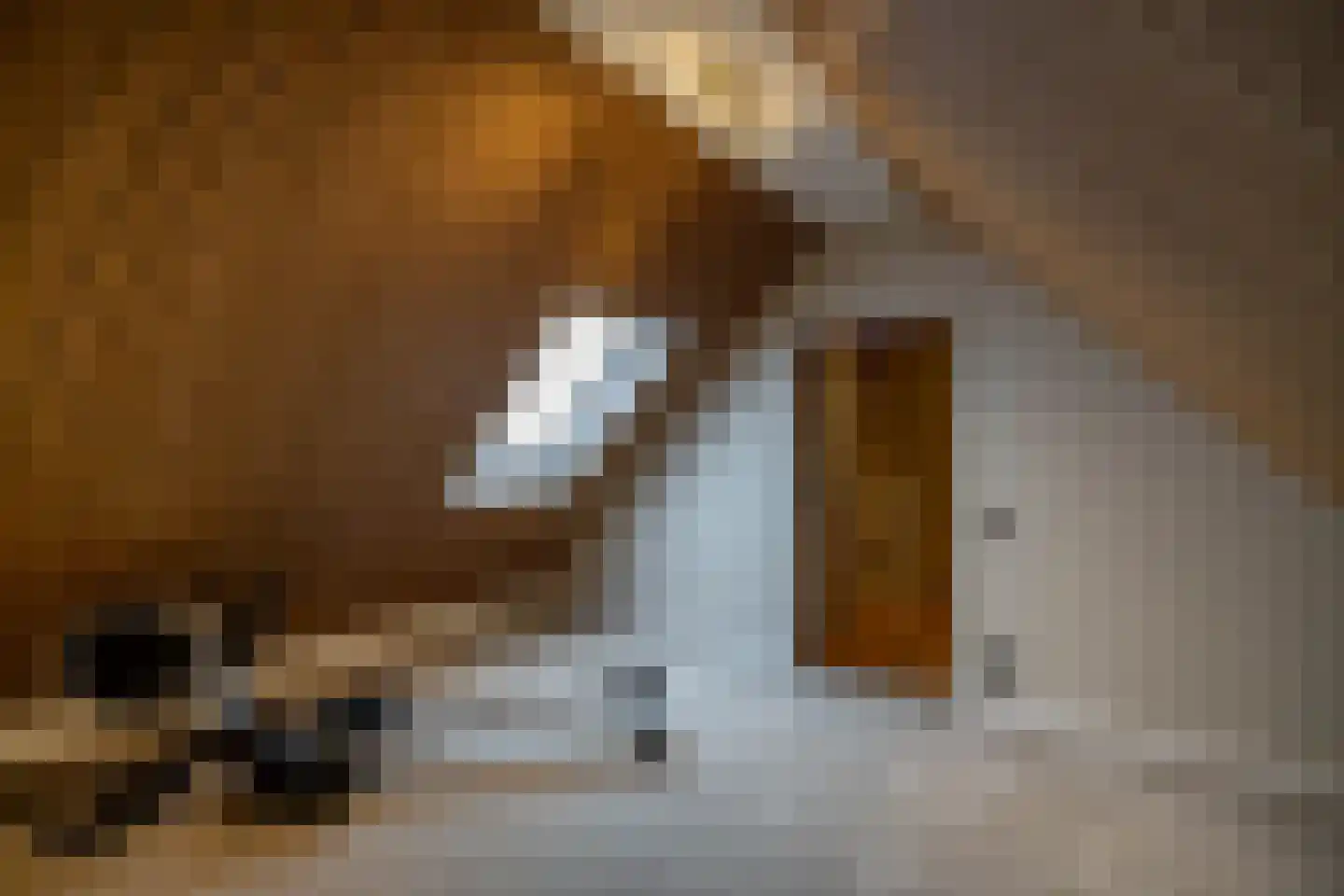 Holthe 49 Beilen thumbnail 30