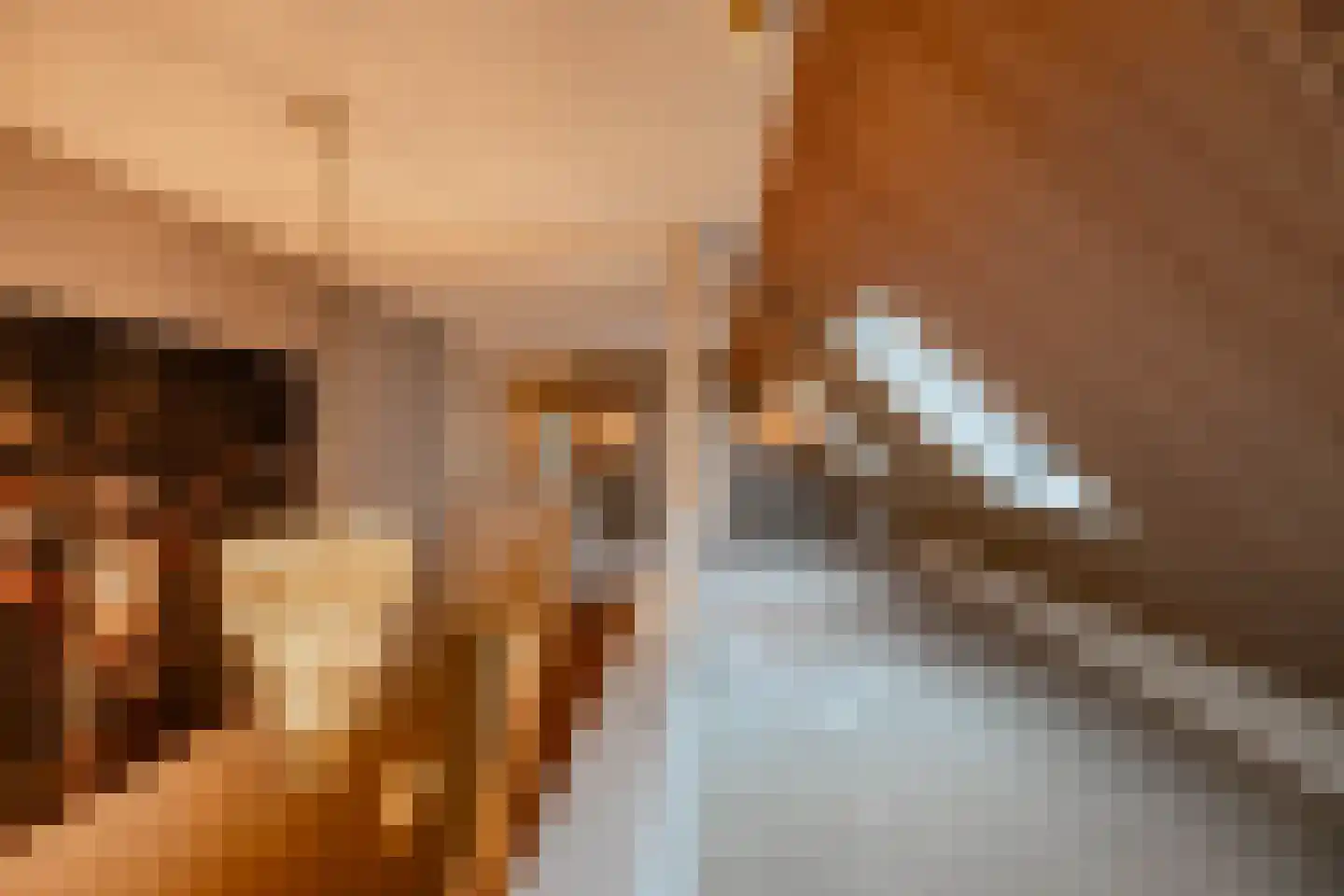 Holthe 49 Beilen thumbnail 31