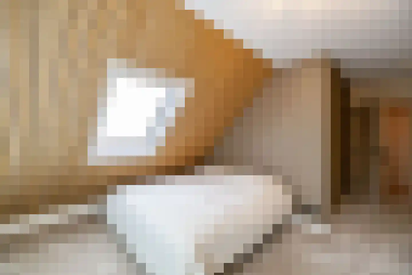 Holthe 49 Beilen thumbnail 36