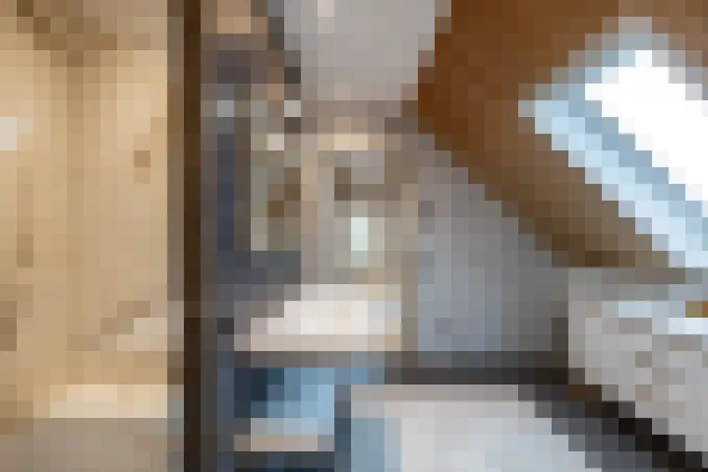 Holthe 49 Beilen thumbnail 40