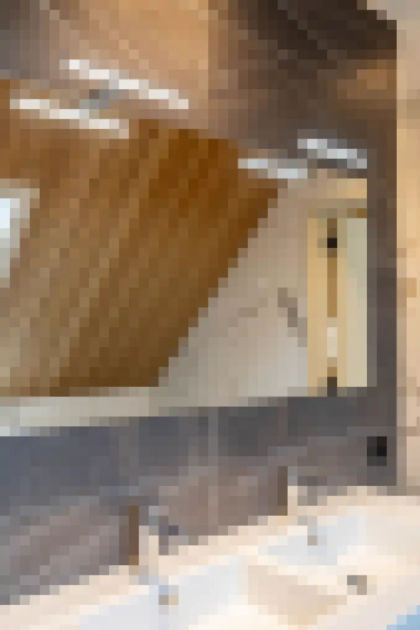 Holthe 49 Beilen thumbnail 42