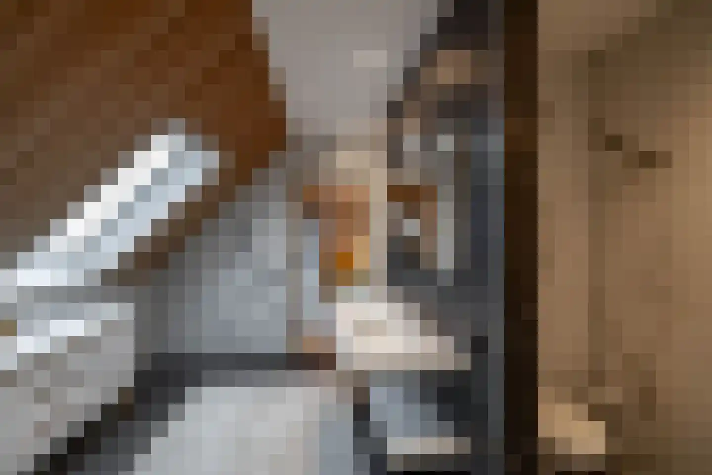 Holthe 49 Beilen thumbnail 44