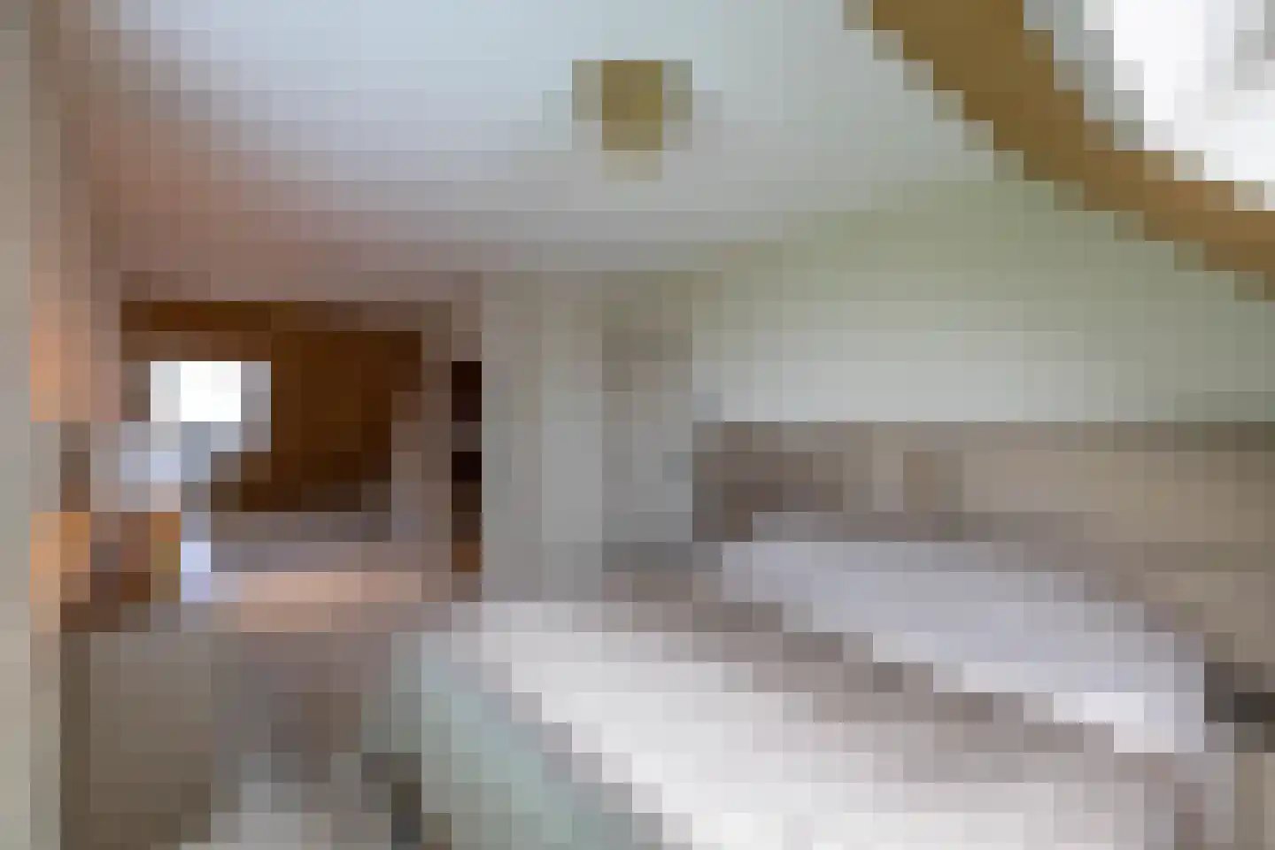 Holthe 49 Beilen thumbnail 49