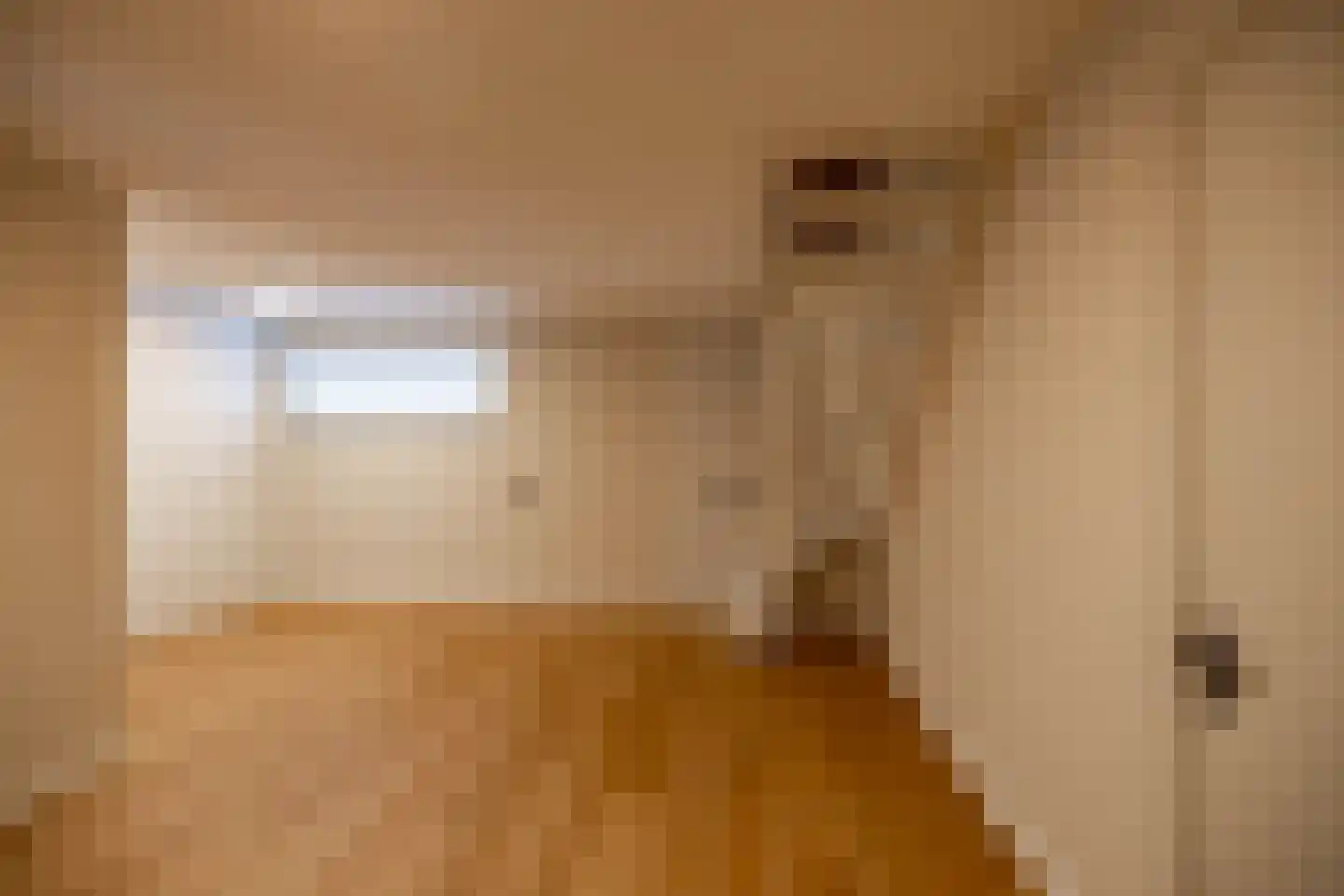Holthe 49 Beilen thumbnail 56