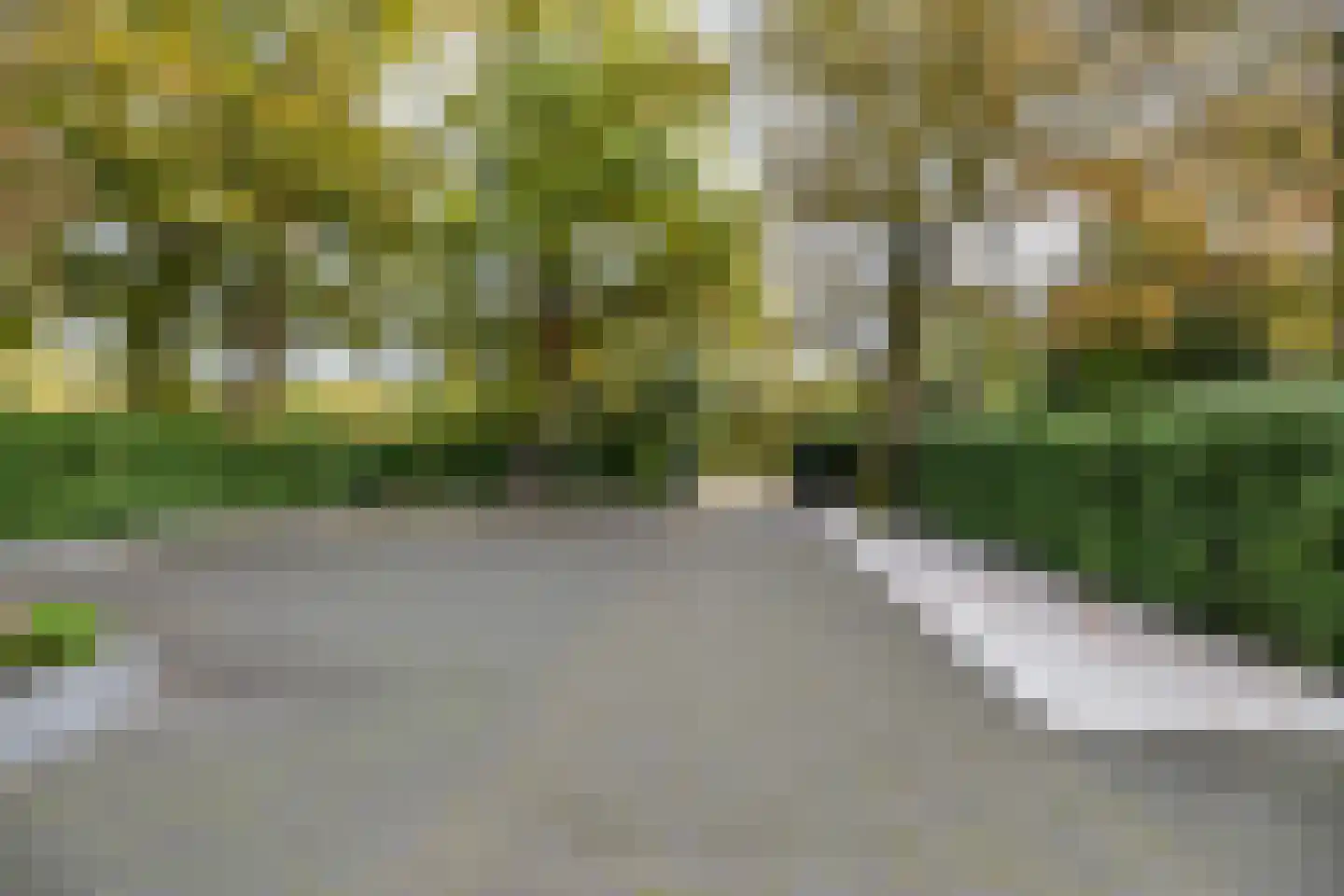 Holthe 49 Beilen thumbnail 57