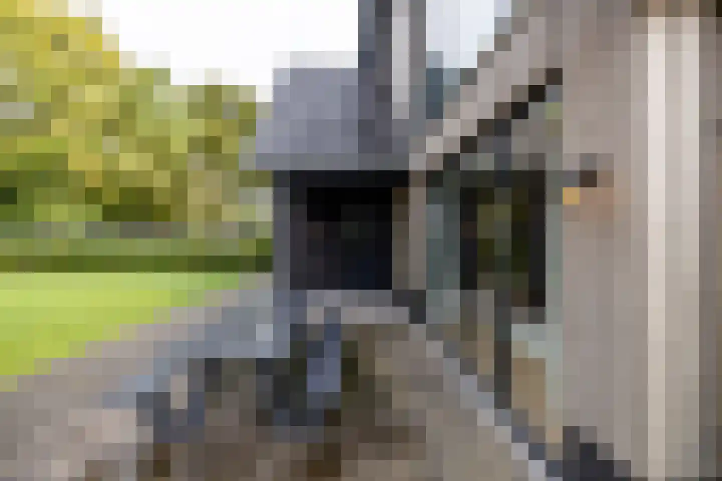 Holthe 49 Beilen thumbnail 61