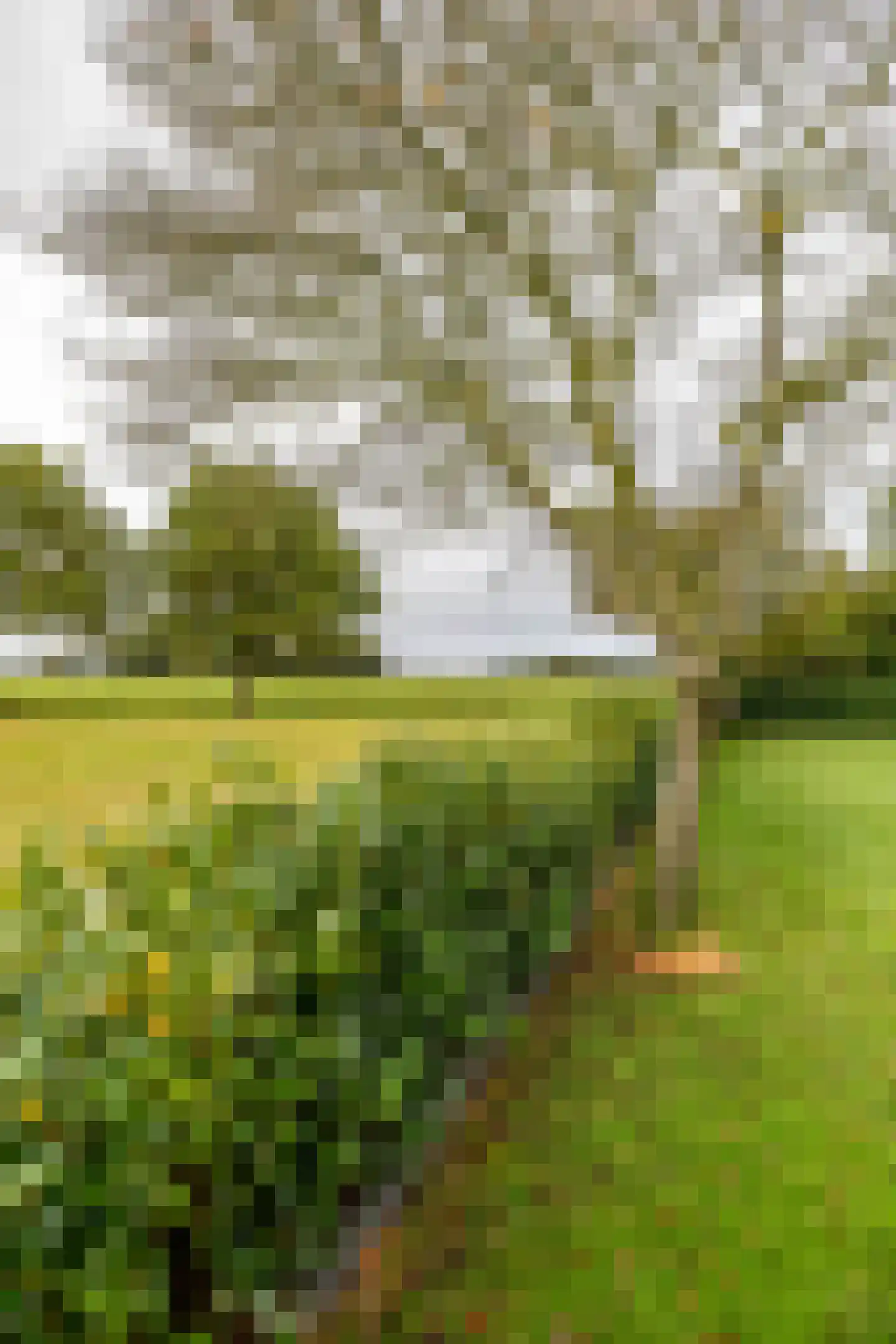 Holthe 49 Beilen thumbnail 62