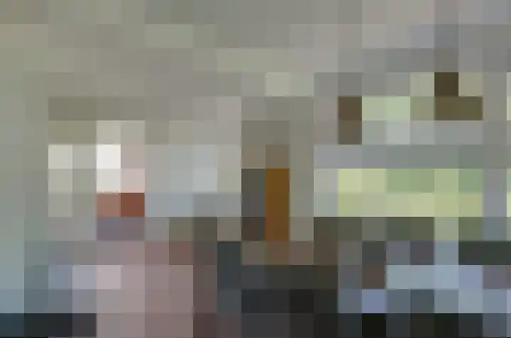 Holtherstraat 1 Bruntinge thumbnail 6