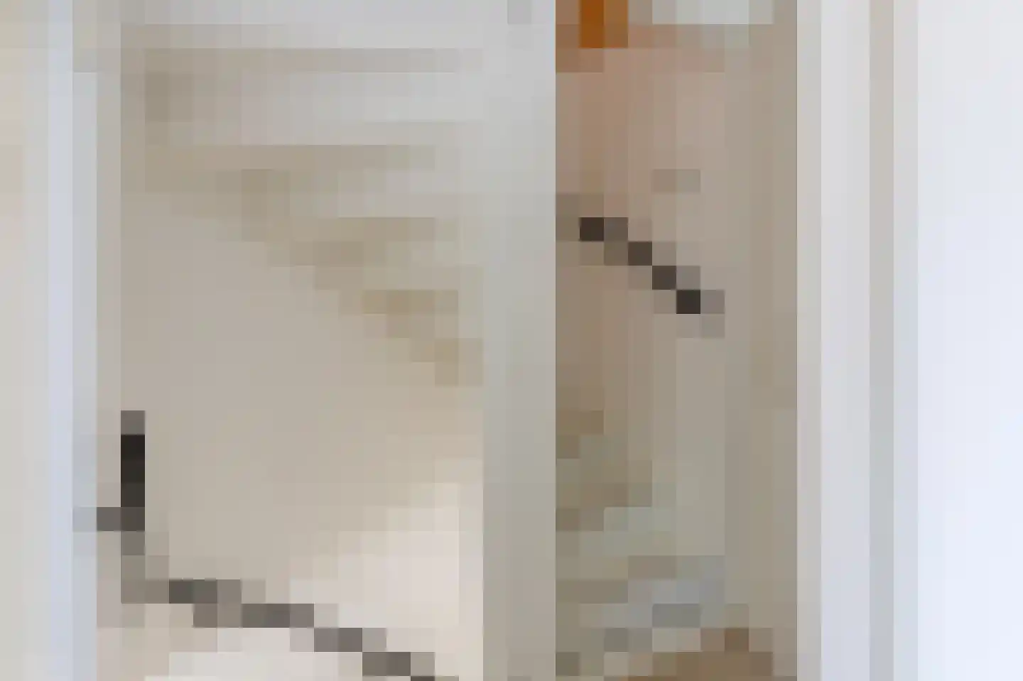 Holthinge Campweg 148 Steenwijkerwold thumbnail 27