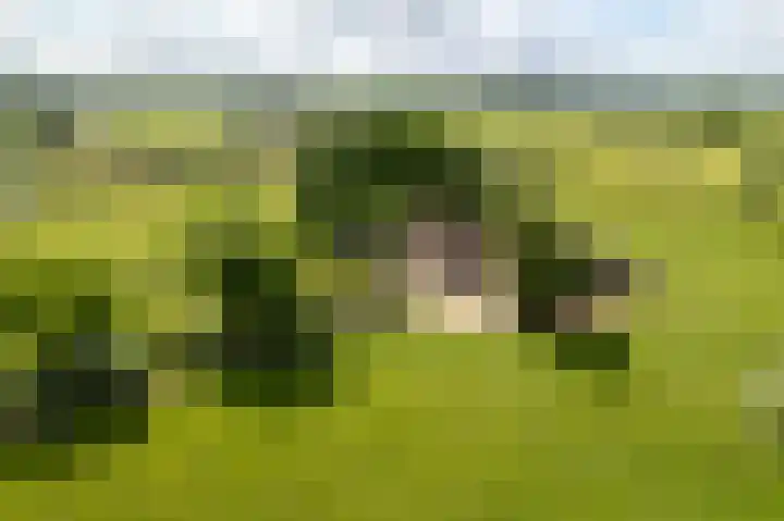 Holthoevensestraat 17 Teuge thumbnail 21