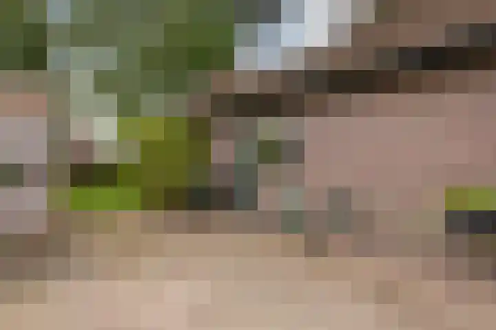 Holthoevensestraat 17 Teuge thumbnail 22